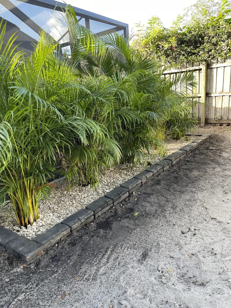 Areca palms and paver edging along a fence