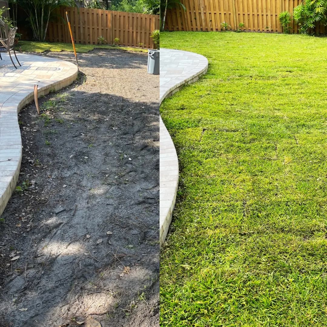 Backyard split before and after, bare ground beside finished sod along a paver edge