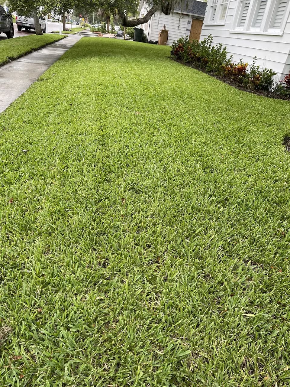 Neatly mowed lawn with a clean edge along the sidewalk