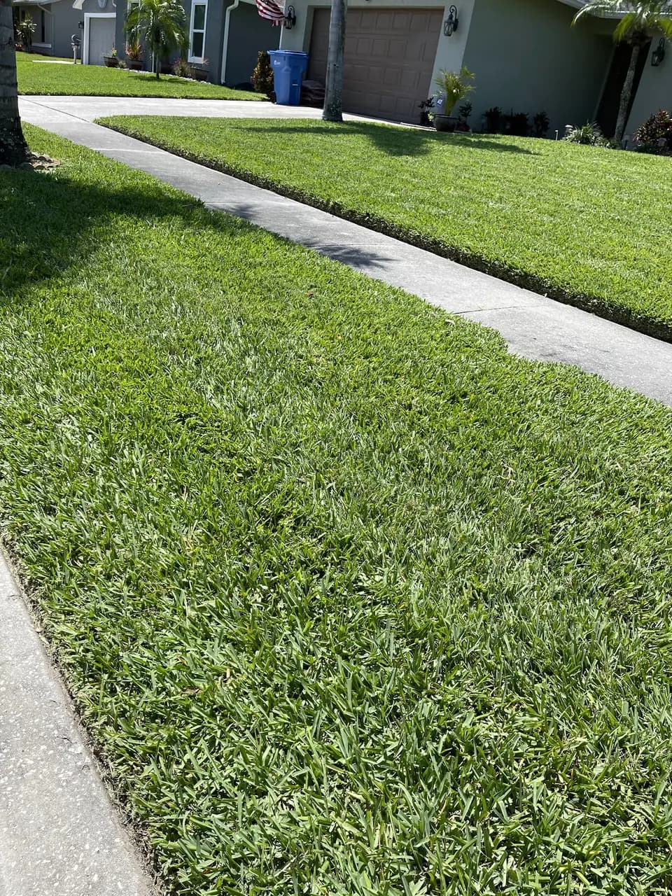 Mowed and edged lawn beside a curving sidewalk