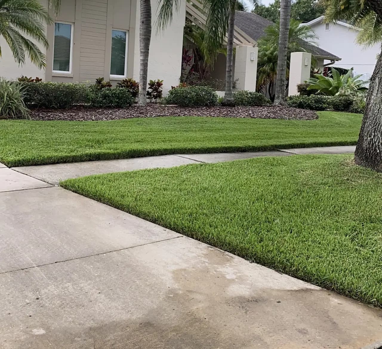 Trimmed lawn edge beside a driveway and tropical beds