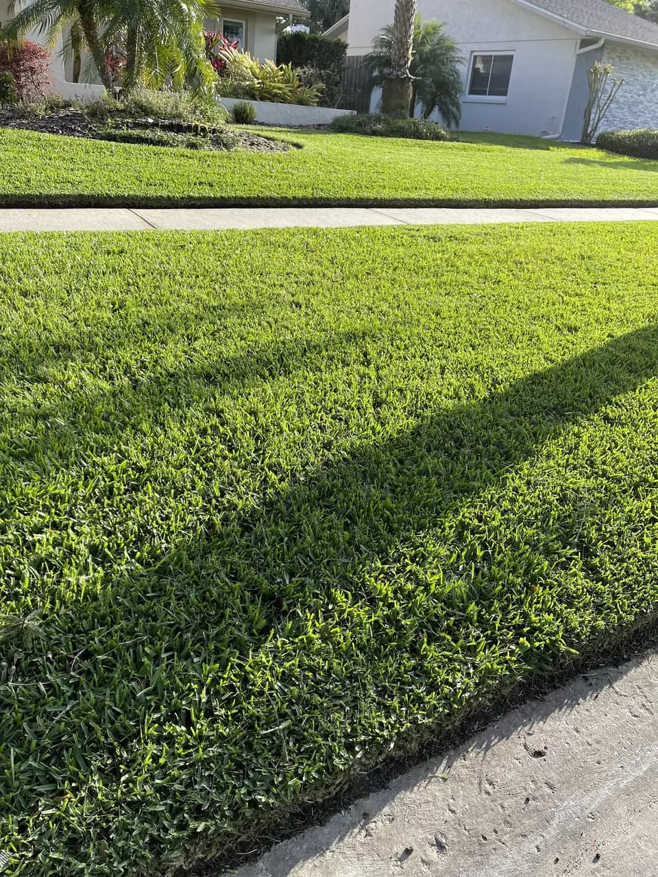 Freshly mowed lawn with crisp shadows along a walkway