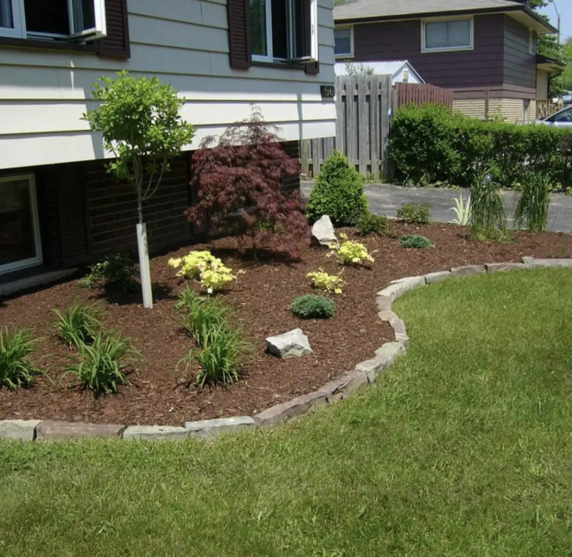 Curved mulch bed with shrubs and a Japanese maple, edged in stone