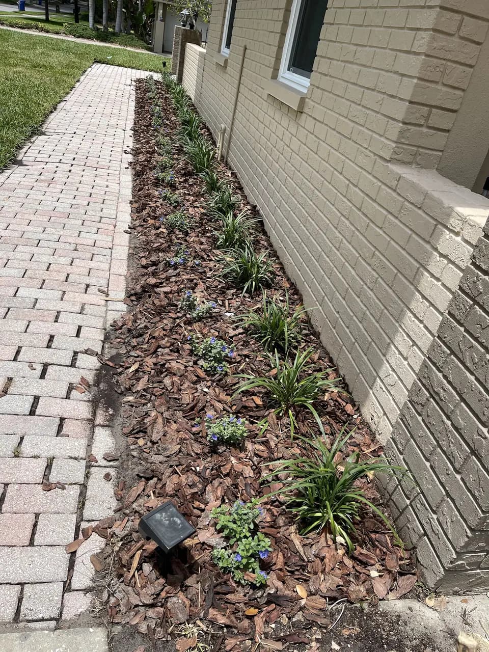 Fresh bark mulch bed along a paver walkway and brick wall