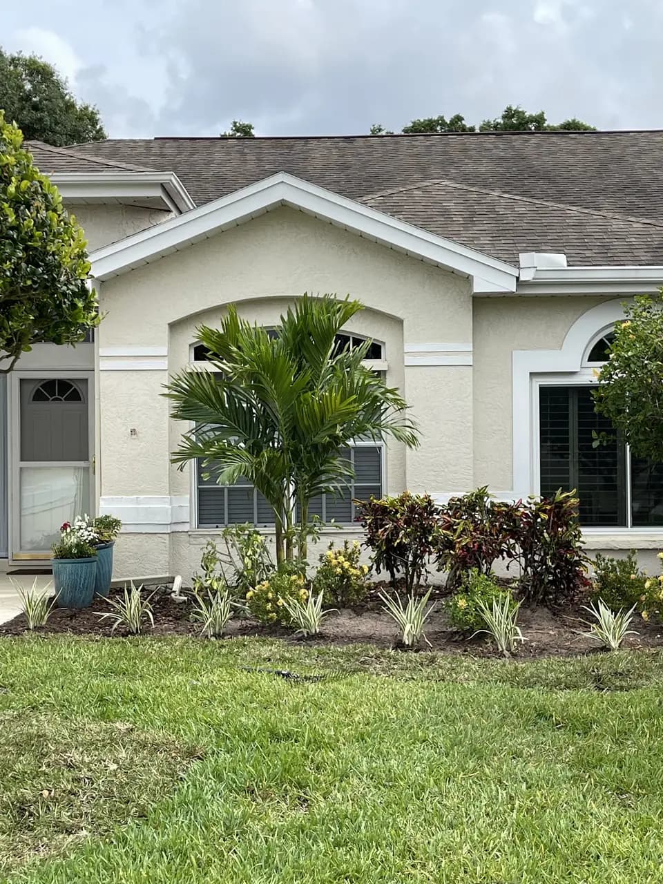 Palm and crotons in a mulched bed above a fresh lawn