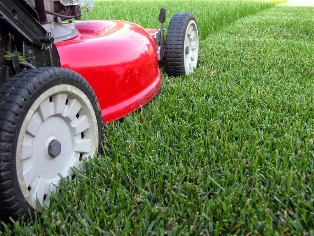 Red push mower on a freshly cut, striped lawn
