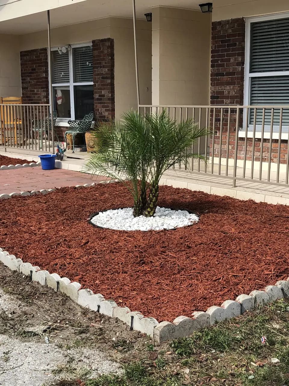 Red mulch bed with a small palm ringed in white rock and edged in stone