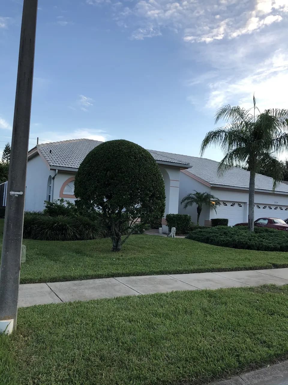 Round shaped shrub and clipped hedges in front of a white home