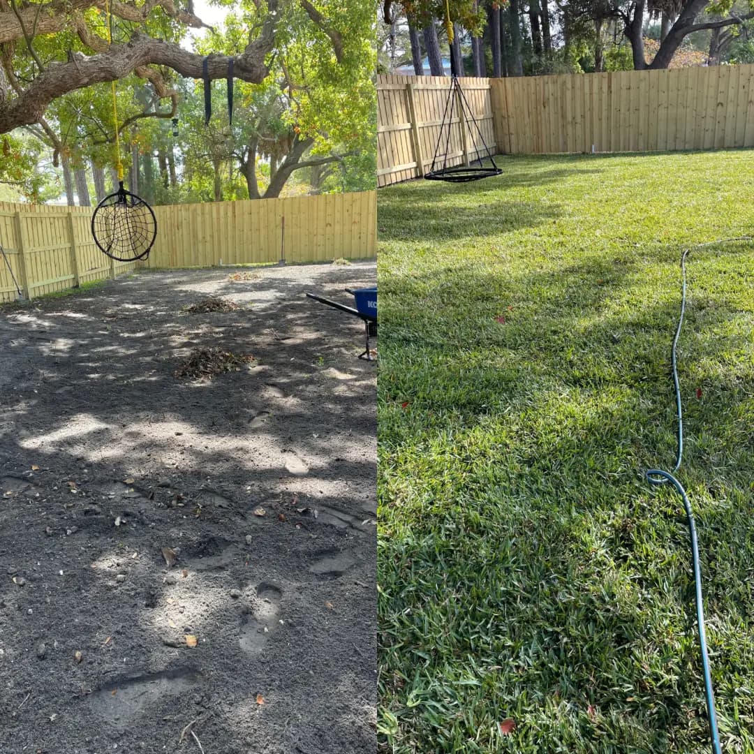 Side yard split before and after, bare shaded dirt beside a lush lawn