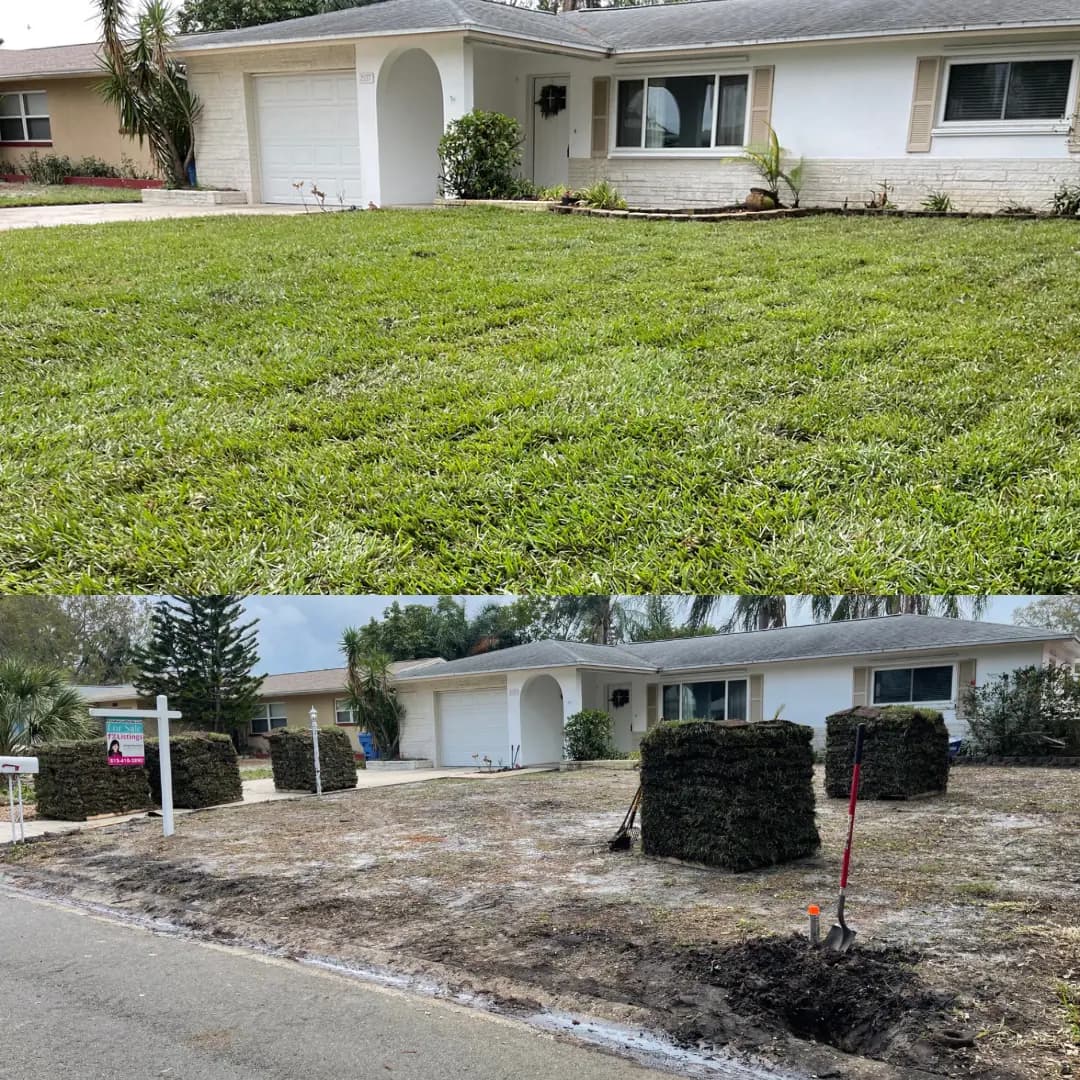 Front lawn before and after sod installation, with sod rolls waiting at the curb