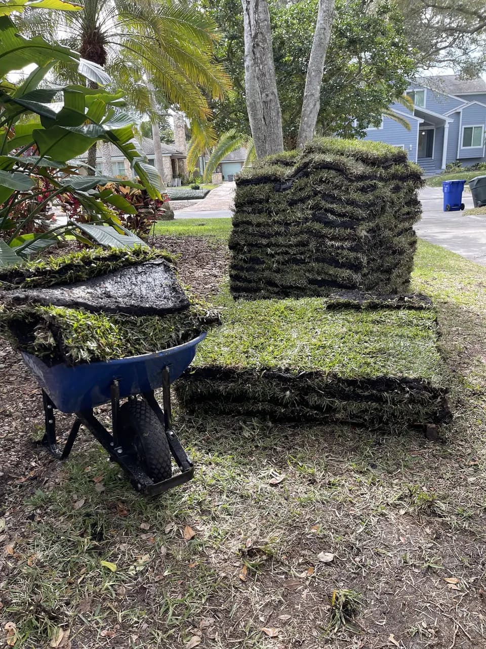 Pallets of fresh sod and a wheelbarrow staged in a front yard