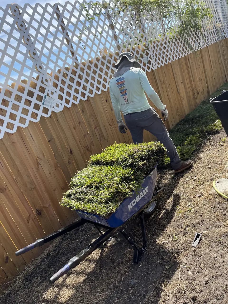 Crew member wheeling sod along a wooden fence line