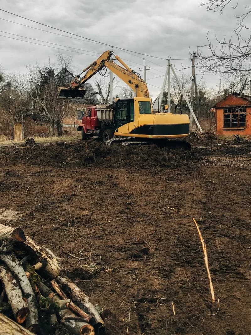 Yard Cleanup