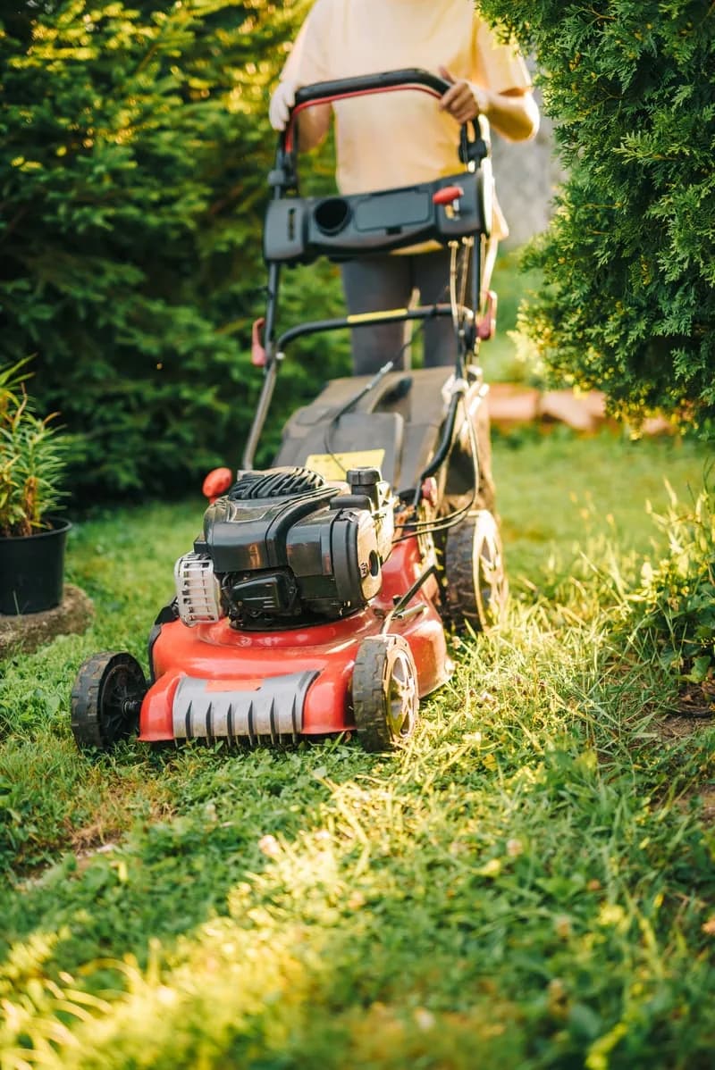Lawn Mowing & Edging