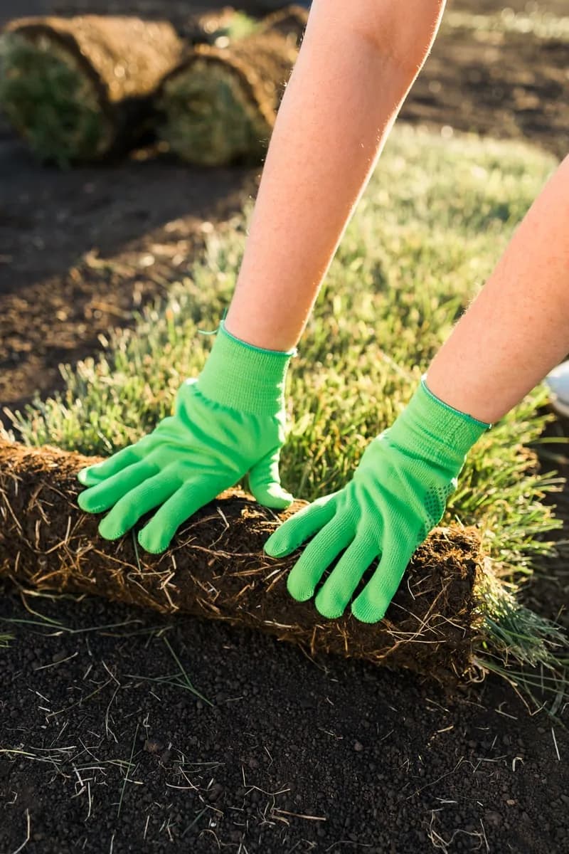 Sod Installation